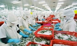 Ngành công nghiệp chế biến Việt Nam đặt mục tiêu đứng thứ 10 thế giới vào năm 2030