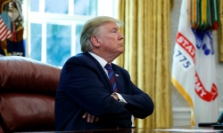 Tổng thống Donald Trump 'bình thản' trước tình hình dịch COVID-19 tại Mỹ