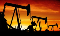 Giá dầu thô tiếp tục giảm xuống dưới mức 30 USD