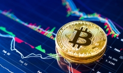 Thị trường tiền điện tử dần hồi sinh, bitcoin tăng giá hơn 10%
