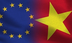 Hội đồng châu Âu thông qua quyết định phê chuẩn Hiệp định EVFTA