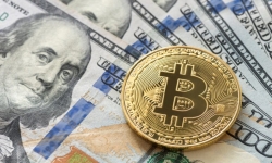 Thị trường hỗn loạn, bitcoin có còn là tài sản trú ẩn an toàn?