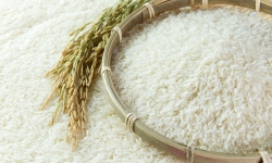 Trung Quốc tăng nhập khẩu gạo Việt gấp hơn 8 lần