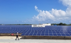 Công ty năng lượng Thái Lan có thể đầu tư tới 457 triệu USD vào 4 dự án điện mặt trời tại Bình Phước