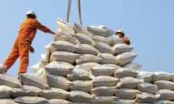 Bộ Công Thương công bố hạn ngạch xuất khẩu gạo trong tháng 4