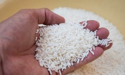 Bộ Công Thương hỏa tốc xin ý kiến gạo nếp thuộc diện an ninh lương thực hay không?