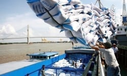 Phó Thủ tướng Trịnh Đình Dũng yêu cầu làm rõ vụ Hải quan mở tờ khai xuất khẩu gạo lúc nửa đêm