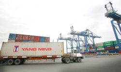 Tân Cảng Sài Gòn miễn, giảm phí hỗ trợ doanh nghiệp xuất khẩu gạo bị nghẽn