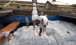 Bộ Công Thương thành lập đoàn kiểm tra liên ngành về xuất khẩu gạo
