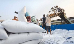 Tổng cục Hải quan hỏa tốc yêu cầu các tỉnh không sách nhiễu doanh nghiệp xuất khẩu gạo
