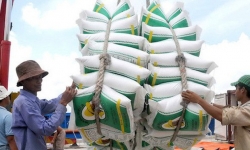 Tổng cục Hải quan kiến nghị điều tra nhóm lợi ích trục lợi trong xuất khẩu gạo
