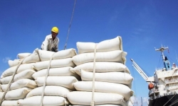 Bộ trưởng Tài chính đề nghị Bộ trưởng Công an chỉ đạo điều tra vụ mở tờ khai xuất khẩu gạo nửa đêm