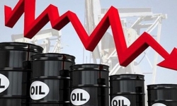 Bộ Công Thương: Giá dầu giảm sâu, có thể tạm ngừng khoan các giếng dầu có sản lượng thấp