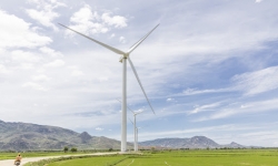 Lovico Group và các dự án năng lượng tái tạo ngàn tỷ