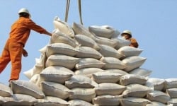 Thủ tướng sẽ chủ trì cuộc họp về giải pháp điều hành xuất khẩu gạo
