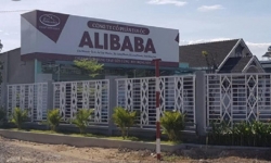 Định giá hơn 255 thửa đất của Địa ốc Alibaba tại tỉnh Đồng Nai