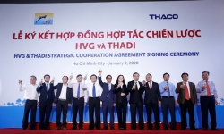 Thủy sản Hùng Vương bắt tay Thadi lập công ty sản xuất heo giống