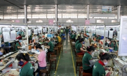 Doanh nghiệp Đà Nẵng đẩy mạnh sản xuất khôi phục kinh tế hậu COVID-19