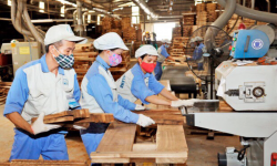 Quảng Trị đặt mục tiêu kim ngạch xuất nhập khẩu gỗ và sản phẩm gỗ đạt 120 triệu USD