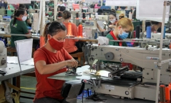 Thị trường lao động Đà Nẵng khởi sắc trở lại