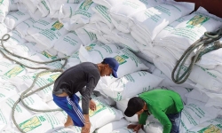 Gạo Việt có xuất được 80.000 tấn vào EU?