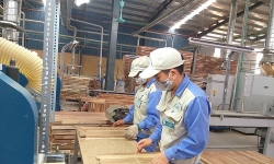 EVFTA, cơ hội mới cho doanh nghiệp gỗ Bình Định