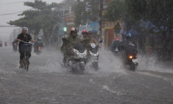 Đường đi của bão số 2 thẳng vào đất liền từ Nghệ An ra Ninh Bình