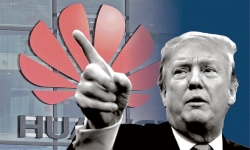 Huawei thấm đòn, số phận rơi vào tay ông Trump