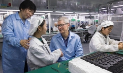 Apple tạm dừng kế hoạch sản xuất tại Việt Nam vì nhà máy chưa đáp ứng đủ yêu cầu cần thiết