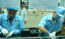 BHXH Việt Nam tiến hành thanh tra kiểm tra tại 3.465 đơn vị