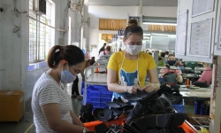 Đề xuất gỡ khó cho doanh nghiệp Đà Nẵng bị ảnh hưởng bởi dịch COVID-19