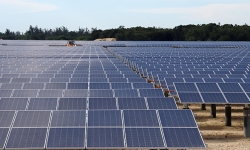 Bình Định kiến nghị chuyển mục đích sử dụng hơn 28 ha rừng để xây dựng Nhà máy điện mặt trời Phù Mỹ 3