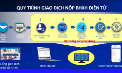 Nộp BHXH, BHYT trên Cổng giao dịch điện tử của BHXH Việt Nam