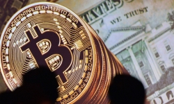Vì sao giá Bitcoin tăng phi mã?