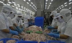 Trung Quốc tăng kiểm soát hàng thủy sản nhập khẩu, doanh nghiệp cá tra nên ‘bình tĩnh’