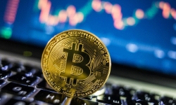 'Giá Bitcoin vẫn sẽ tăng nhanh, nhưng xuống còn nhanh hơn'
