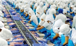 Trung Quốc siết chặt nhập khẩu thủy sản, Bộ Nông nghiệp và Phát triển nông thôn nói gì?