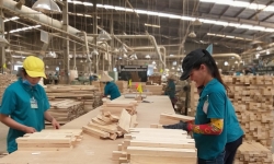 Phòng vệ thương mại ngành gỗ: Doanh nghiệp Việt bắt buộc phải tham gia cuộc chơi