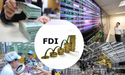 Khối doanh nghiệp FDI đang làm ăn ra sao?