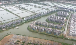 GS. TS Trần Đình Hòa: Khơi thông, nạo vét sông Cổ Cò cần tính đến yếu tố môi trường, sinh thái