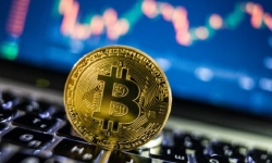 Giá Bitcoin áp sát ngưỡng 42.000 USD/đồng