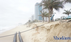 'Đà Nẵng cần xây kè ngầm và nuôi bãi để bảo vệ đường bờ chống sạt lở ven biển'