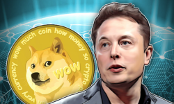 Chán Bitcoin, các nhà đầu tư đang theo Elon Musk mua Dogecoin