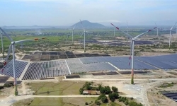 Ninh Thuận tìm chủ cho dự án nhà máy điện gió Bim hơn 3.100 tỷ đồng