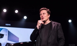 Lý do Elon Musk mất 27 tỷ USD trong một tuần