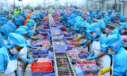 Thị trường hàng hóa 2021 - Bài 2: Tín hiệu khả quan cho xuất khẩu thủy sản Việt Nam?