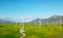 Định danh nhà đầu tư bộ đôi dự án điện gió 7.300 tỷ tại Gia Lai
