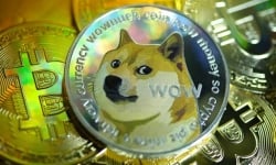 Dogecoin, 'trò đùa' của thị trường tiền điện tử và mức tăng kỷ lục 25.000%
