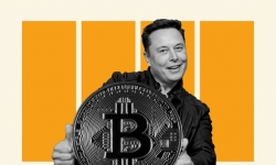 CEO Twitter đối đầu Elon Musk trong 'cuộc chiến' Bitcoin