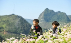 Quỹ sữa vươn cao Việt Nam 2021: Sẽ có 19.000 trẻ em hoàn cảnh khó khăn được tài trợ uống sữa trong năm